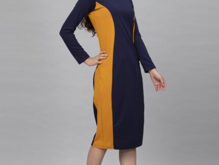 Blue Coloured Knitted Lycra Dress