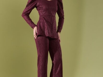 Maroon Lycra Plain Co-ords Set